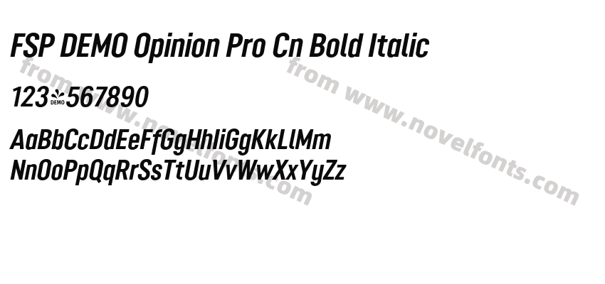 FSP DEMO Opinion Pro Cn Bold ItalicPreview