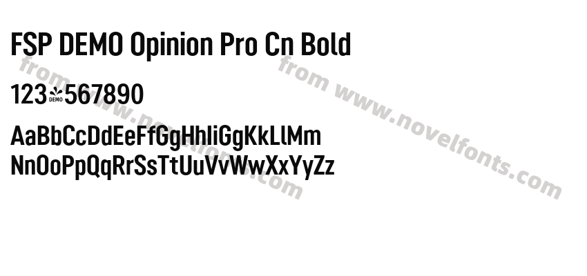 FSP DEMO Opinion Pro Cn BoldPreview