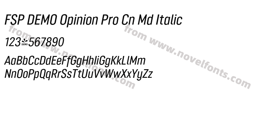 FSP DEMO Opinion Pro Cn Md ItalicPreview