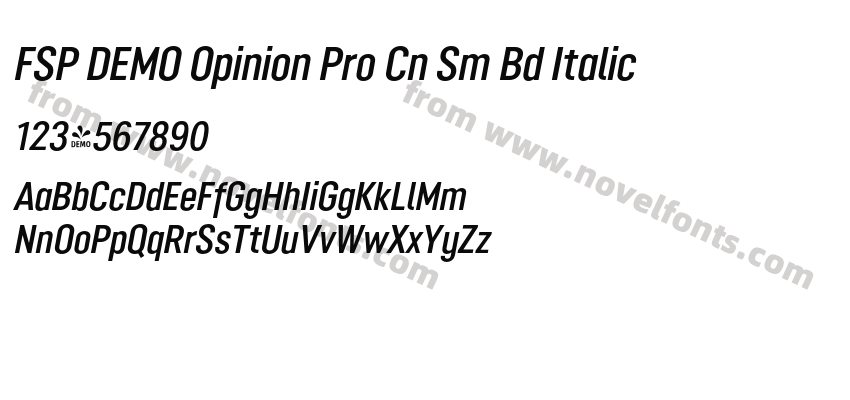FSP DEMO Opinion Pro Cn Sm Bd ItalicPreview