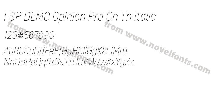FSP DEMO Opinion Pro Cn Th ItalicPreview