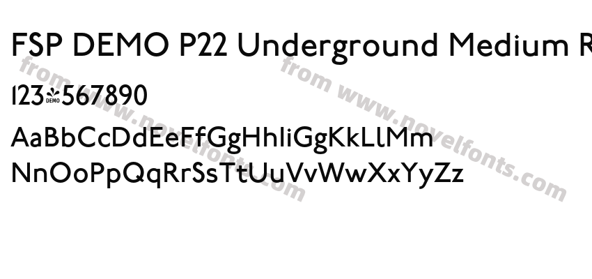 FSP DEMO P22 Underground Medium RegularPreview