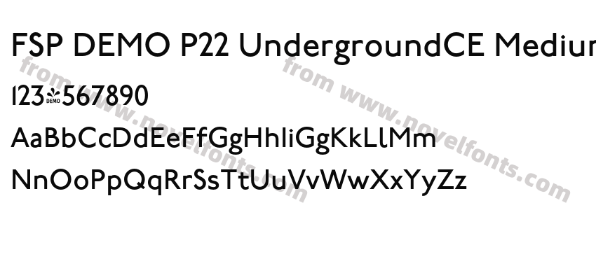 FSP DEMO P22 UndergroundCE Medium RegularPreview