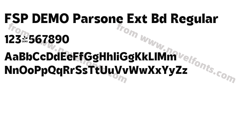 FSP DEMO Parsone Ext Bd RegularPreview