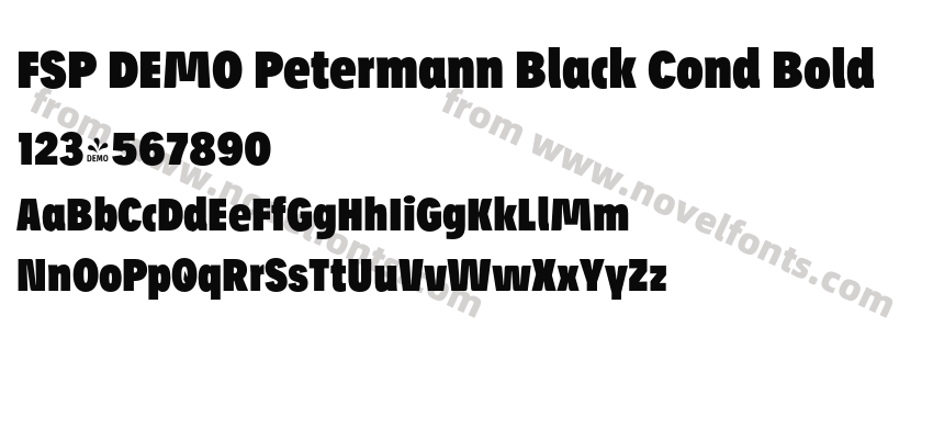 FSP DEMO Petermann Black Cond BoldPreview
