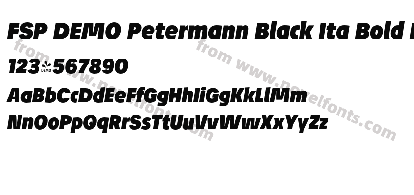 FSP DEMO Petermann Black Ita Bold ItalicPreview