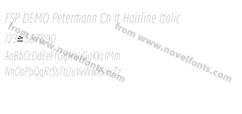 FSP DEMO Petermann Cn It Hairline ItalicPreview