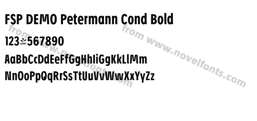 FSP DEMO Petermann Cond BoldPreview