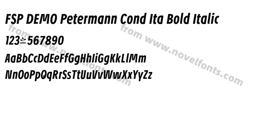 FSP DEMO Petermann Cond Ita Bold ItalicPreview