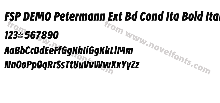 FSP DEMO Petermann Ext Bd Cond Ita Bold ItalicPreview