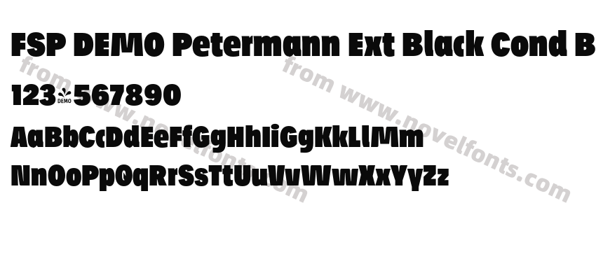 FSP DEMO Petermann Ext Black Cond BoldPreview
