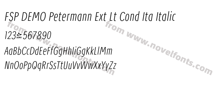 FSP DEMO Petermann Ext Lt Cond Ita ItalicPreview