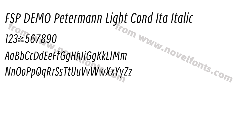 FSP DEMO Petermann Light Cond Ita ItalicPreview