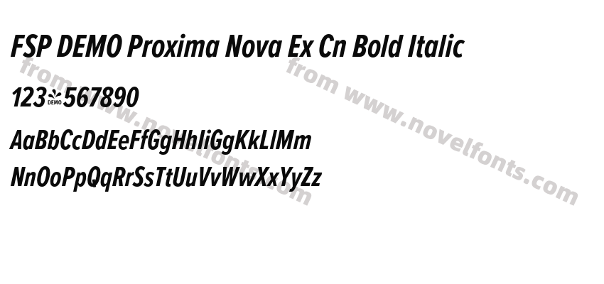 FSP DEMO Proxima Nova Ex Cn Bold ItalicPreview