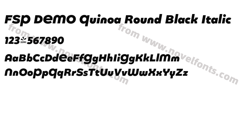 FSP DEMO Quinoa Round Black ItalicPreview