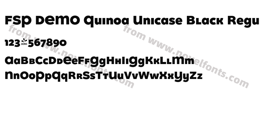 FSP DEMO Quinoa Unicase Black RegularPreview