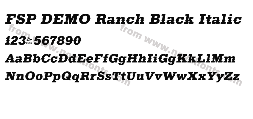 FSP DEMO Ranch Black ItalicPreview