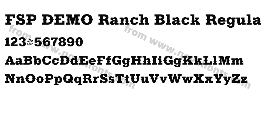 FSP DEMO Ranch Black RegularPreview