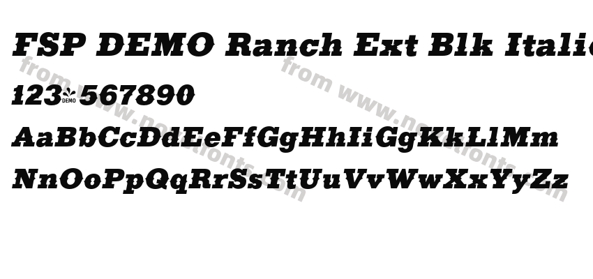 FSP DEMO Ranch Ext Blk ItalicPreview