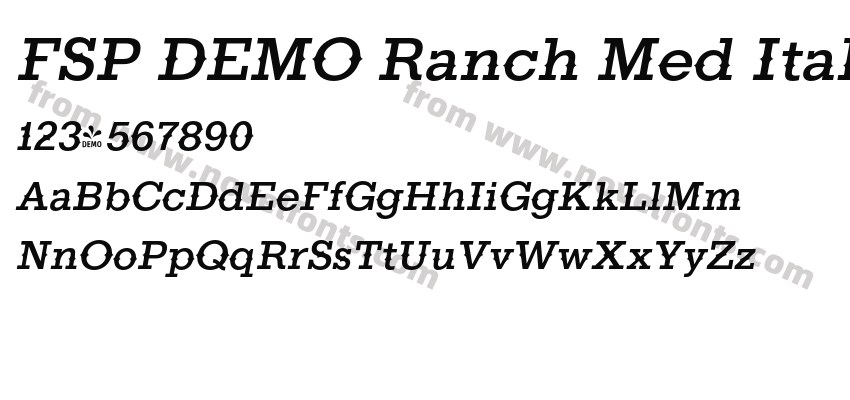 FSP DEMO Ranch Med ItalicPreview