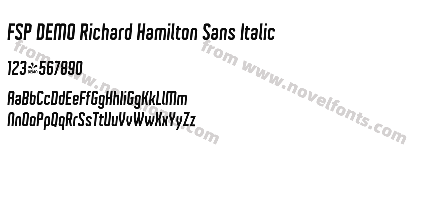 FSP DEMO Richard Hamilton Sans ItalicPreview
