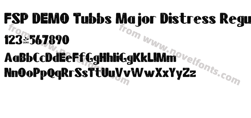 FSP DEMO Tubbs Major Distress RegularPreview