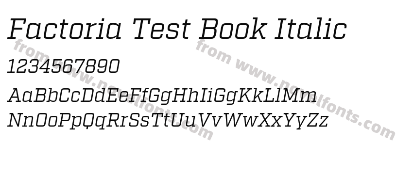 Factoria Test Book ItalicPreview
