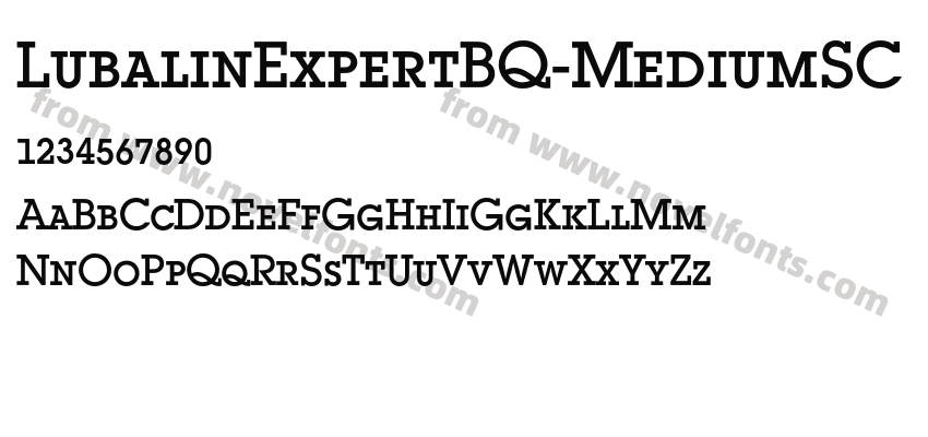 LubalinExpertBQ-MediumSCPreview