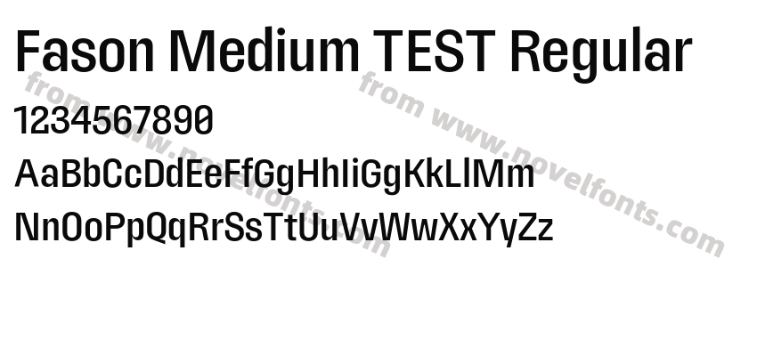 Fason Medium TEST RegularPreview