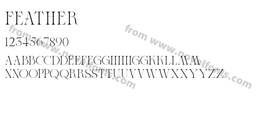 FeatherPreview