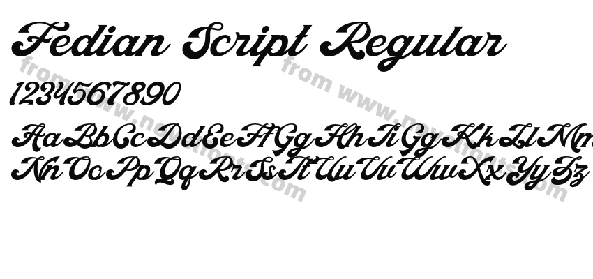 Fedian Script RegularPreview