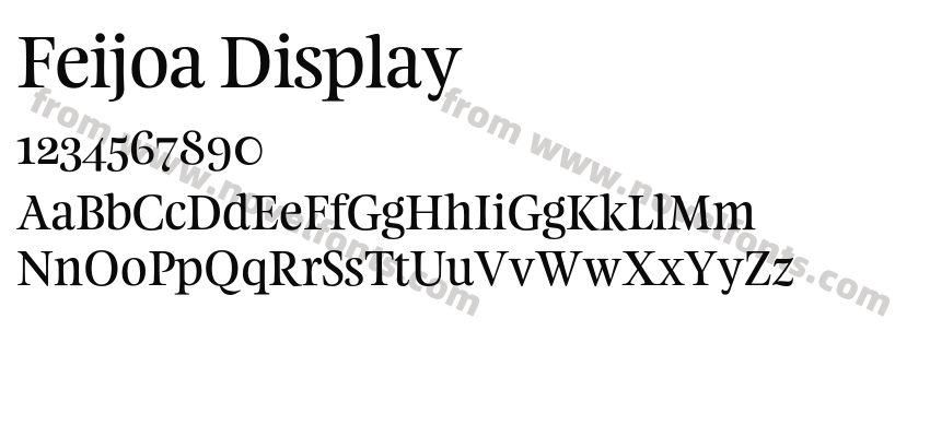 Feijoa DisplayPreview