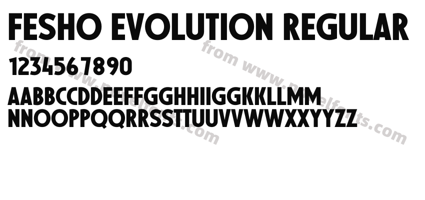 Fesho Evolution RegularPreview