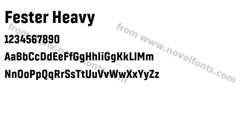 Fester HeavyPreview
