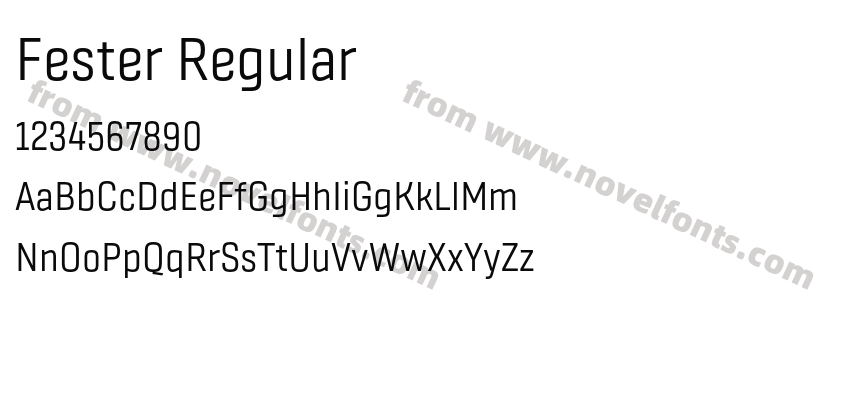 Fester RegularPreview
