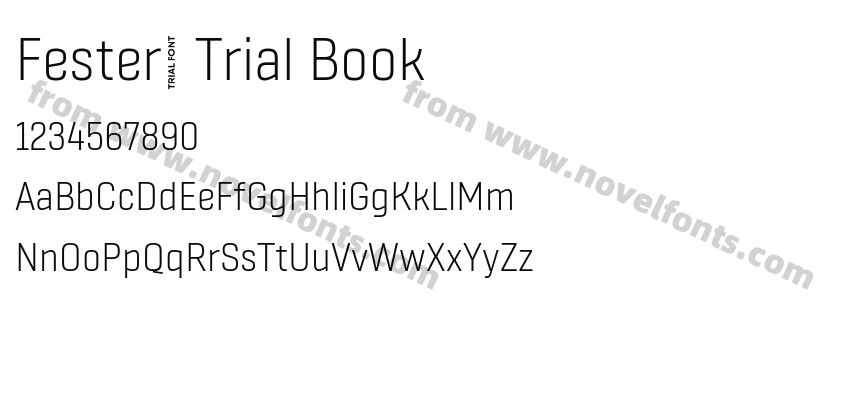 Fester_ Trial BookPreview