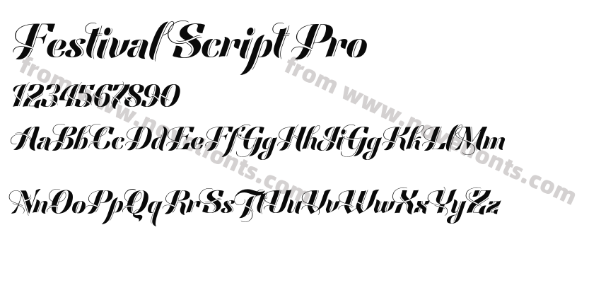 Festival Script ProPreview