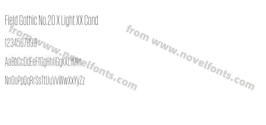 Field Gothic No.20 X Light XX CondPreview