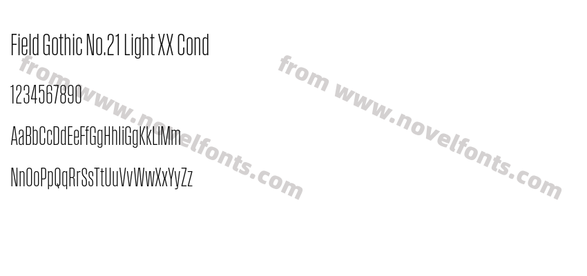 Field Gothic No.21 Light XX CondPreview