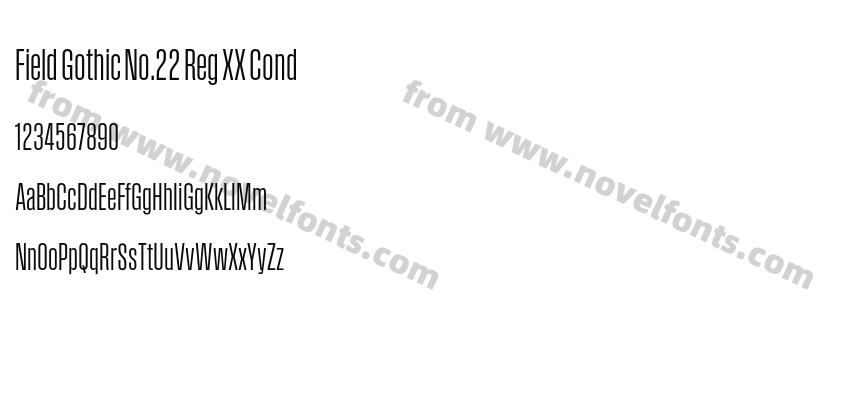 Field Gothic No.22 Reg XX CondPreview