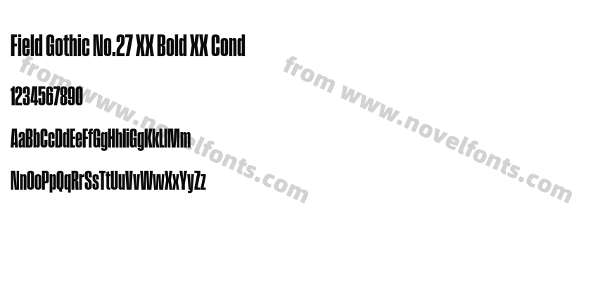 Field Gothic No.27 XX Bold XX CondPreview
