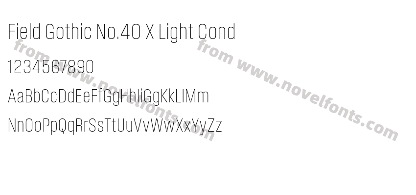 Field Gothic No.40 X Light CondPreview