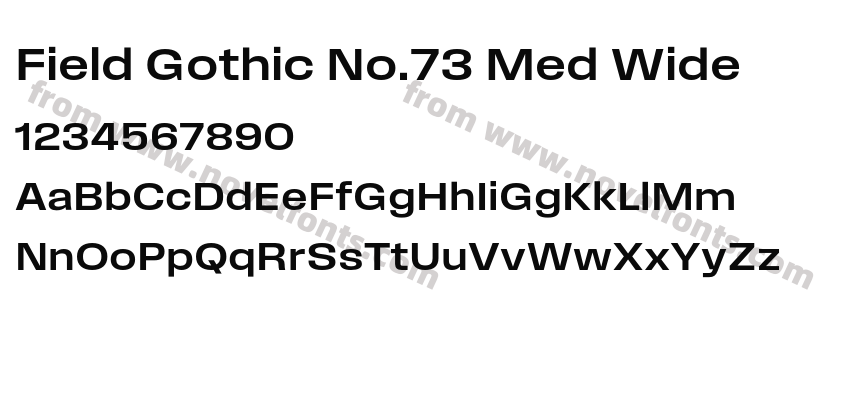 Field Gothic No.73 Med WidePreview