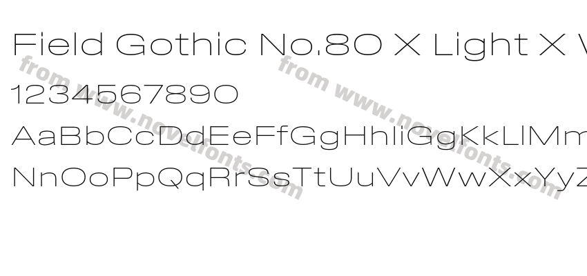 Field Gothic No.80 X Light X WidePreview