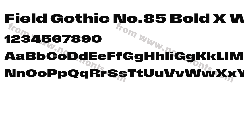 Field Gothic No.85 Bold X WidePreview