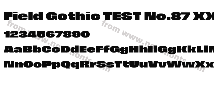 Field Gothic TEST No.87 XX Bold X WidePreview