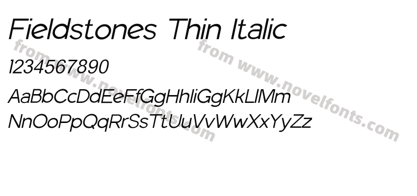 Fieldstones Thin ItalicPreview