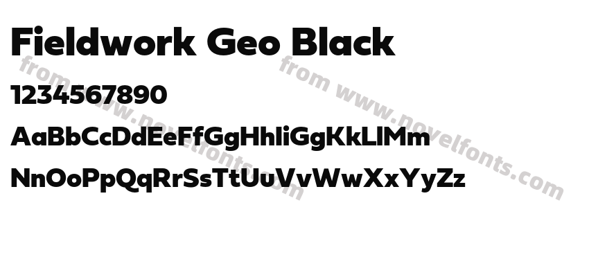 Fieldwork Geo BlackPreview