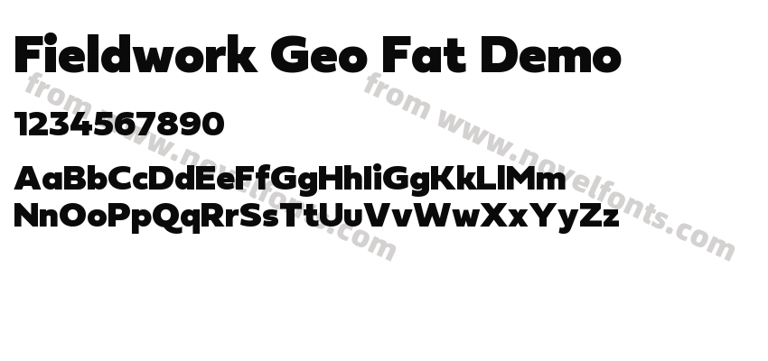 Fieldwork Geo Fat DemoPreview