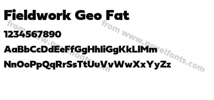 Fieldwork Geo FatPreview